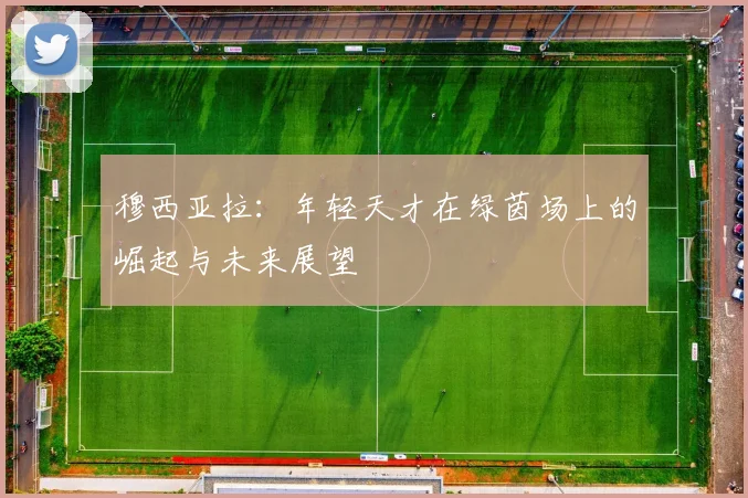 穆西亚拉：年轻天才在绿茵场上的崛起与未来展望