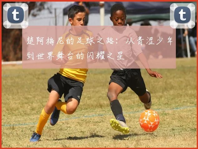 楚阿梅尼的足球之路：从青涩少年到世界舞台的闪耀之星